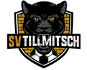 SV Tillmitsch - Tillmitsch VS Ask Voitsberg Score