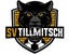 SV Tillmitsch - Team Sv Tillmitsch 301845 Live Score