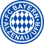 Bayern Alzenau - Team Bayern Alzenau 302245 Football Live