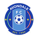 Avondale FC - Fc VS Newcastle Jets Score
