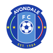Avondale FC - Player Thom Jonkerman 257824 298693 Live Score