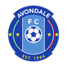 Avondale FC - Avondale Fc Vs South Melbourne