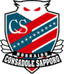 Consadole Sapporo (Youth) - Team Consadole Sapporo Youth 312589 Live Score