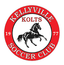 Kellyville Kolts SC - Team Kellyville Kolts Sc 344289 Football Result