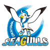 Okayama Seagulls Women - Women VS Himeji Victorina Women Live Score