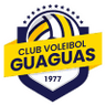 Guaguas - Team Guaguas 906 Live Score