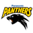 Panasonic Panthers