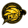 Peja - Peja Vs Beroe 157660 Live Score