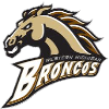 Western Michigan logo