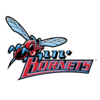 Delaware State logo
