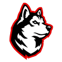 Northeastern Women - Stony Brook Women Vs Northeastern Women Basketball Score