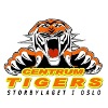 Centrum Tigers - Live Kongsberg Miners Vs Centrum Tigers