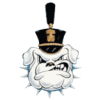 The Citadel logo