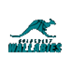 Goldcoast Wallabies - Lugano Tigers U Vs Goldcoast Wallabies Live Score Today