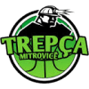 Trepca logo