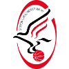 Szolnoki Olajbanyasz logo