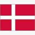 Denmark Women logo