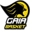 FC Gaia U23 - Ovarense B Vs Fc Gaia U Basketball
