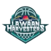 Lawaan Harvesters - Arctic Flow Cool Masters Vs Lawaan Harvesters Live Result