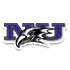 Niagara logo