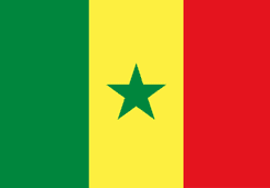 Senegal - Player Ifaye 14253 Live Score Today