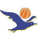 Chelsea Gulls Women - Hume City Broncos Women Vs Chelsea Gulls Women Basketball Result