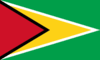 Guyana logo - Fiba Aq Dominica Vs Guyana Live Score