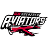 Shenzhen Navigator B Team logo - Tat Vs Shenzhen Navigator B Team Basketball