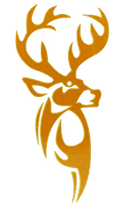 San Sebastian Stags - Uphsd Altas Vs San Sebastian Stags Basketball Score