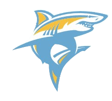 Long Island University logo