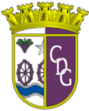 CD Gouveia U19 - U VS Cf Os Marialvas U Score Today