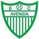 Avenida RS - Rs VS Gremio Fbpa Sport