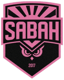 Azerbaijani champion - Player I Lepinjica 430193 332654 Live