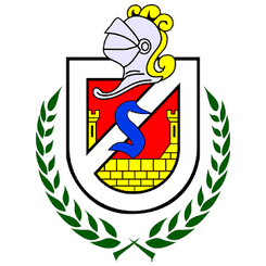 Deportes La Serena - Player Bryan Mendoza 454512 303605 Scores