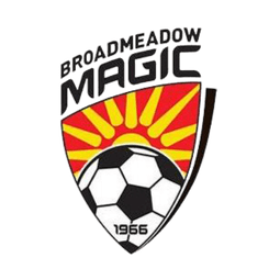 Broadmeadow Magic - Player Andrew Hoole 199549 300739 Football Live Score