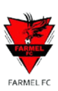 Farmel FC - Fc VS Persipa Pati Score