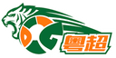 Dongguan Team - Team VS Qingyuan Team Live