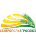 Nevinnomyssk - Vladikavkaz VS Nevinnomyssk Result