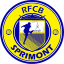Sprimont - Sprimont Vs Bocholter Vv 537169 Football Result