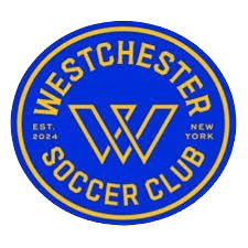 Westchester SC - Player Daniel Bouman 482989 375188 Live Result