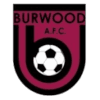 Burwood AFC - Afc VS Halswell United Live Score Today