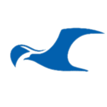 FK Haugesund (W) - Player Knybru 784907 375220 Live Score Today