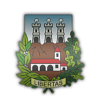 SP Libertas - Live Player Mattia Manzaroli 170717 311166