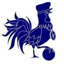 Forden Utd - Holyhead Vs Forden Utd 523795 Football Live Score