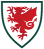 Wales Women - Player Hayley Ladd 595981 303049 Live Score Today
