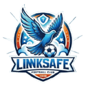 Ji'nan Linksafe - Linksafe VS Yangzhou Sanwan Ledao Sport