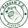 Parham FC - Fc VS Green City Result