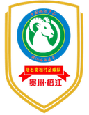 Tap Seac Party Prime Minister Village Football Team - Team VS Liubaitang Village Football Team Result Today