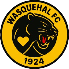 ES Wasquehal - Player David Pollet 156543 304239 Football Result
