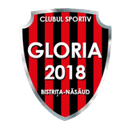 CS Gloria 2018 Bistrita Nasaud - Reghin VS Cs Gloria Bistrita Nasaud Result